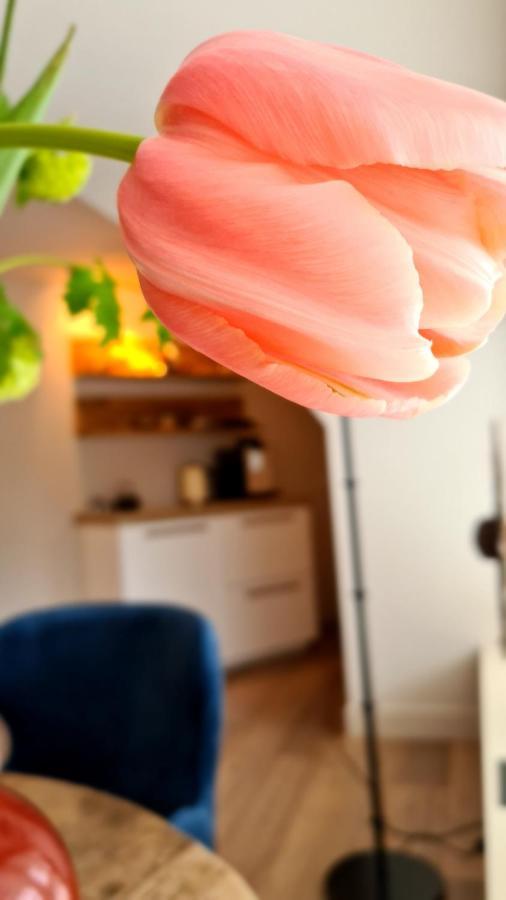 Short Stay Midden Drenthe Beilen Екстер'єр фото
